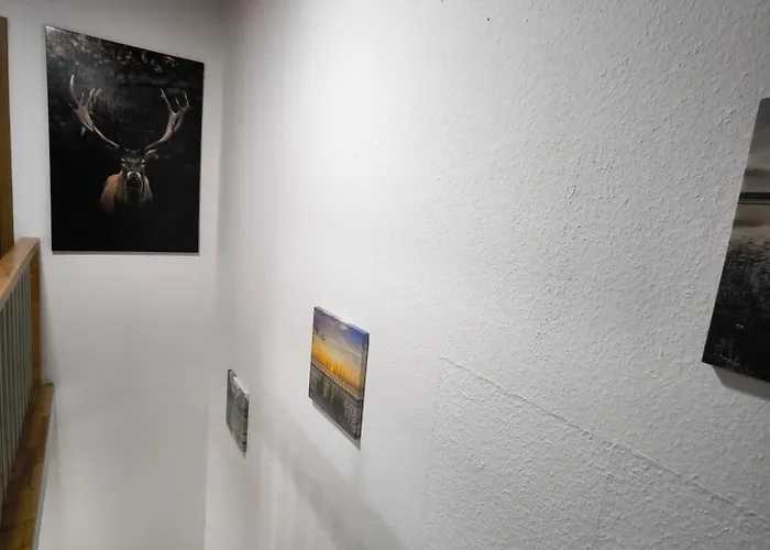 Haus Am Ruhige Lage In Langscheid Naehe Sorpesee Melschede